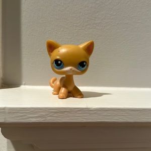 Littlest Pet Shop #71